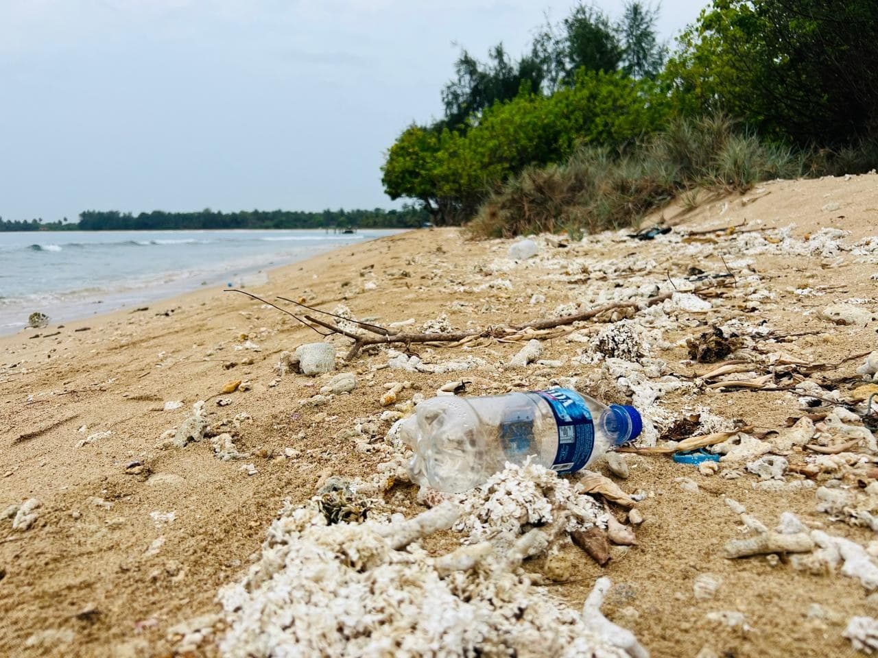 A washed-up plastic bottle among coral and debris at the tideline of a Sri Lankan beach.